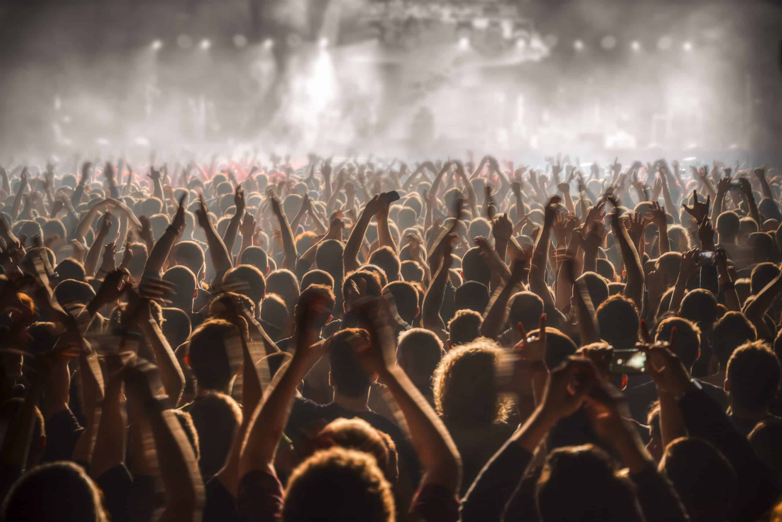 Who is Responsible for Crowd Safety & Crowd Management? - Fire Systems, Inc.